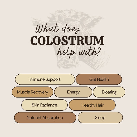 Colostrum Powder